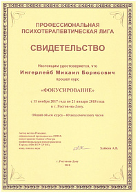 Ингерлейб Михаил Борисович фокусирование